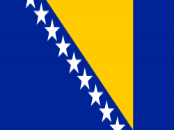 Bosnia and Herzegovina flag